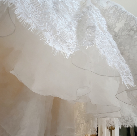 Pronovias | The Orion Lace Wedding Dress Off White Crystal NEW Size 18 - Picture 7 of 16